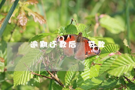 逾期还款后 贷款 逾期还款后 贷款